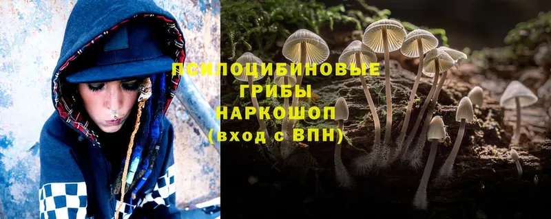 Галлюциногенные грибы Cubensis  Каменск-Уральский 